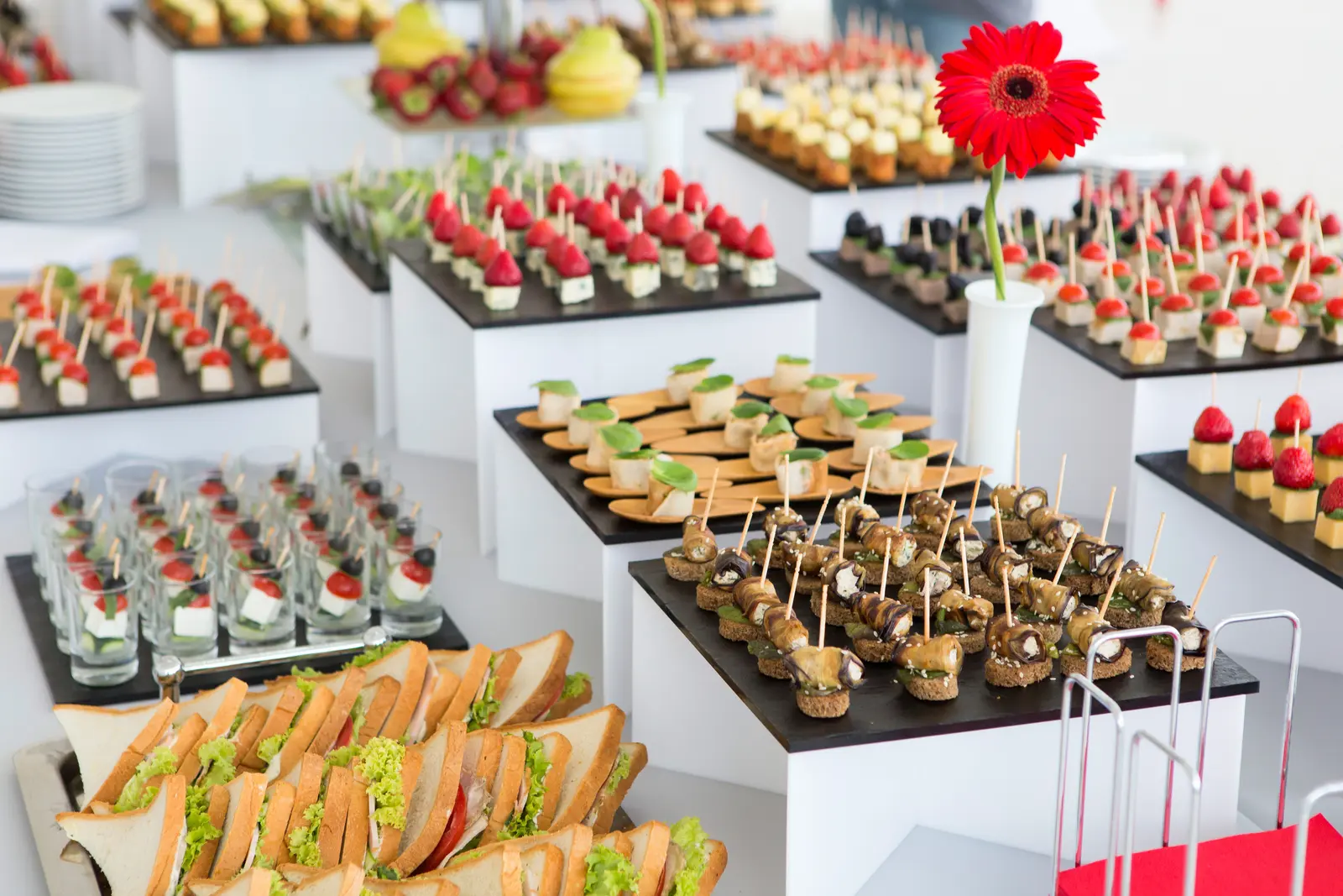 Presentación de catering para hospitality